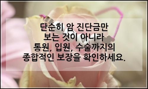 오늘의 이미지
