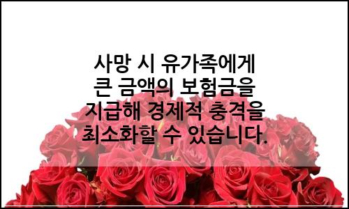 오늘의 이미지