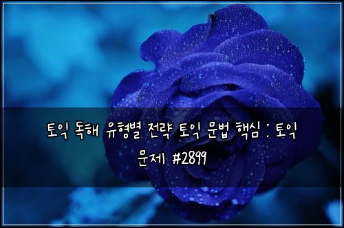 토익 독해 유형별 전략 토익 문법 핵심 : 토익 문제 #2899