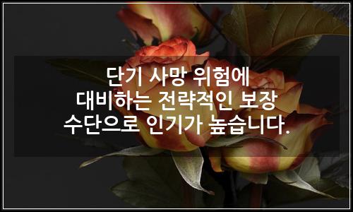 오늘의 이미지
