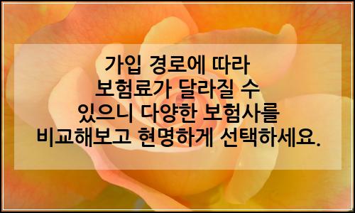오늘의 이미지