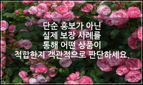 오늘의 이미지