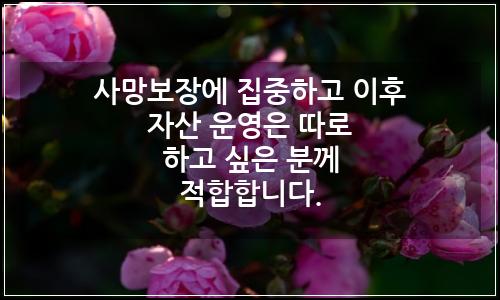 오늘의 이미지