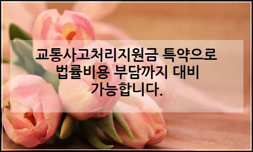 오늘의 이미지