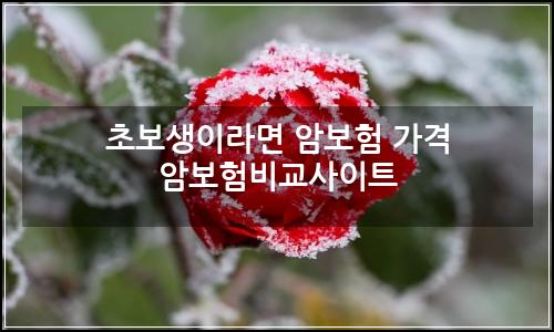 오늘의 이미지