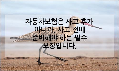 오늘의 이미지