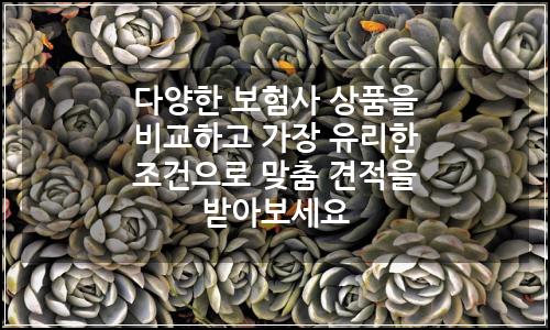 오늘의 이미지