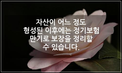 오늘의 이미지