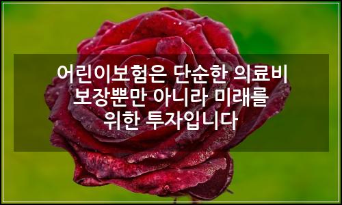 오늘의 이미지