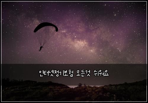인터넷정기보험 모든것  쉬워요