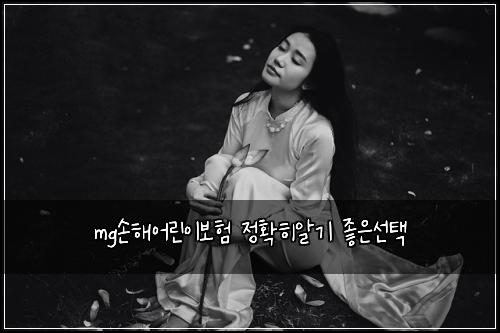 mg손해어린이보험 정확히알기  좋은선택