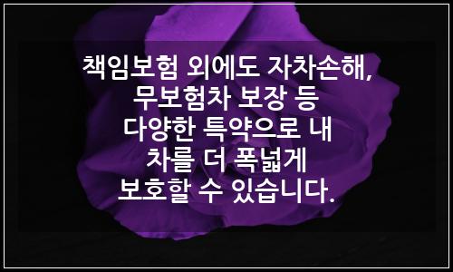 오늘의 이미지