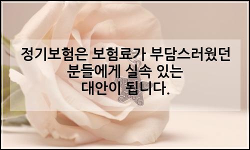 오늘의 이미지