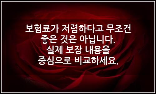 오늘의 이미지