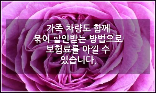 오늘의 이미지