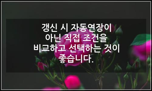 오늘의 이미지