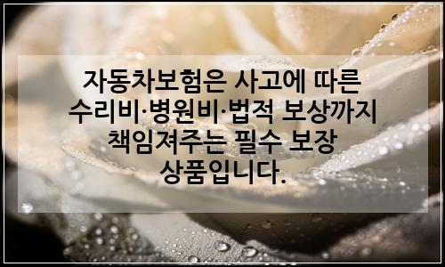 오늘의 이미지