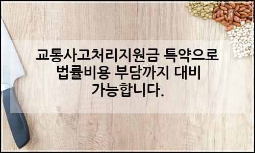 오늘의 이미지