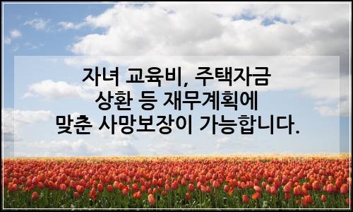 오늘의 이미지