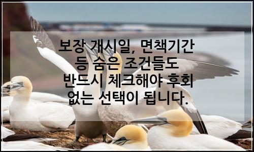 오늘의 이미지