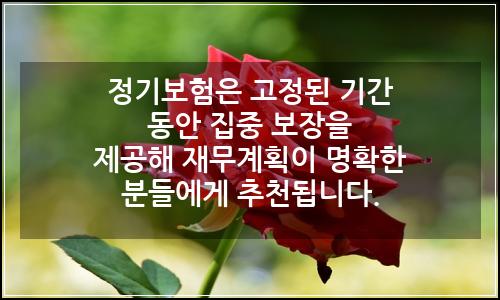 오늘의 이미지