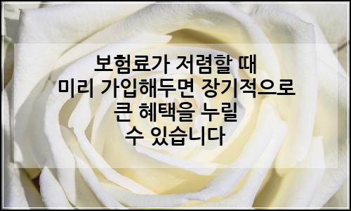 오늘의 이미지