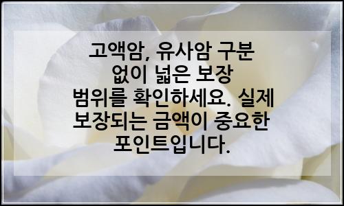 오늘의 이미지