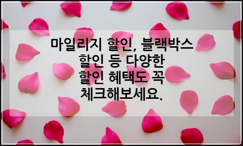오늘의 이미지