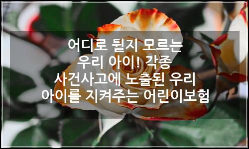 오늘의 이미지