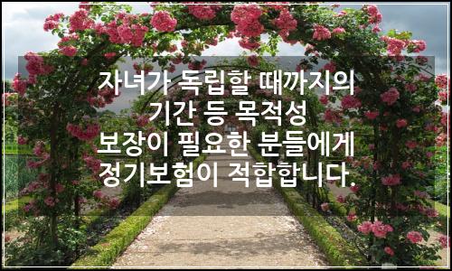 오늘의 이미지