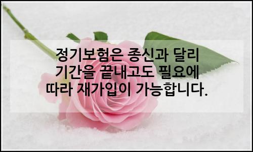오늘의 이미지