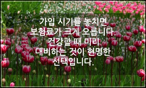 오늘의 이미지
