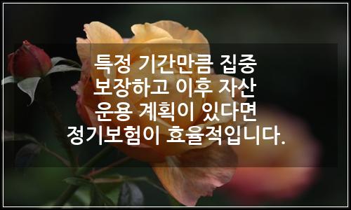 오늘의 이미지