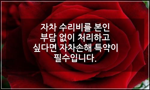 오늘의 이미지