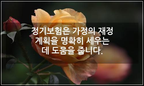 오늘의 이미지