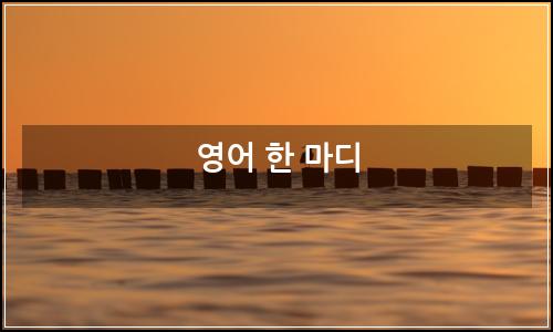 오늘의 이미지