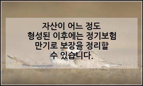 오늘의 이미지