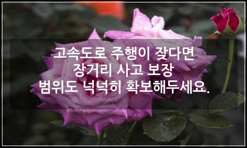 오늘의 이미지