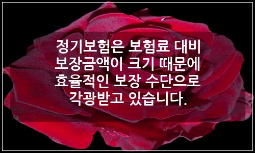 오늘의 이미지