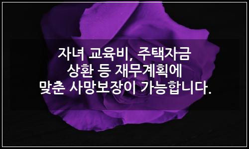 오늘의 이미지