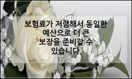 오늘의 이미지