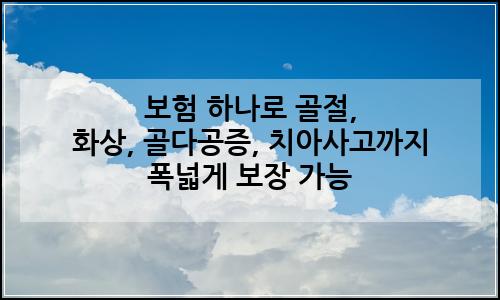 오늘의 이미지