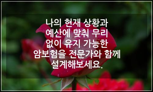 오늘의 이미지
