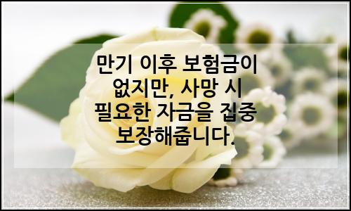 오늘의 이미지