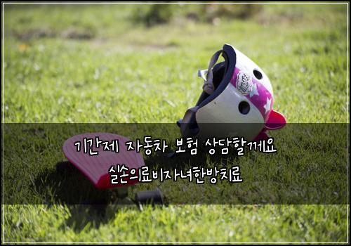 기간제 자동차 보험 상담할께요  실손의료비자녀한방치료