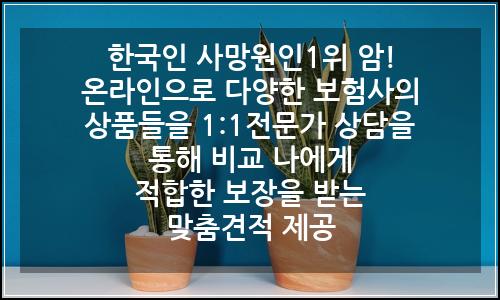 오늘의 이미지