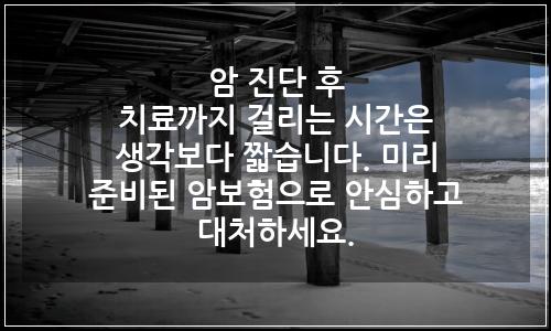 오늘의 이미지