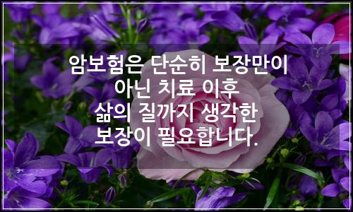 오늘의 이미지