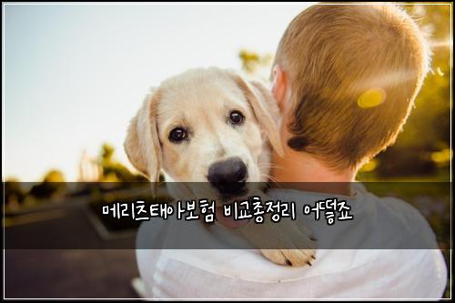 메리츠태아보험 비교총정리  어떻죠