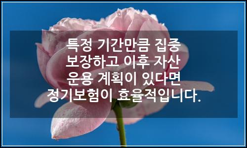 오늘의 이미지
